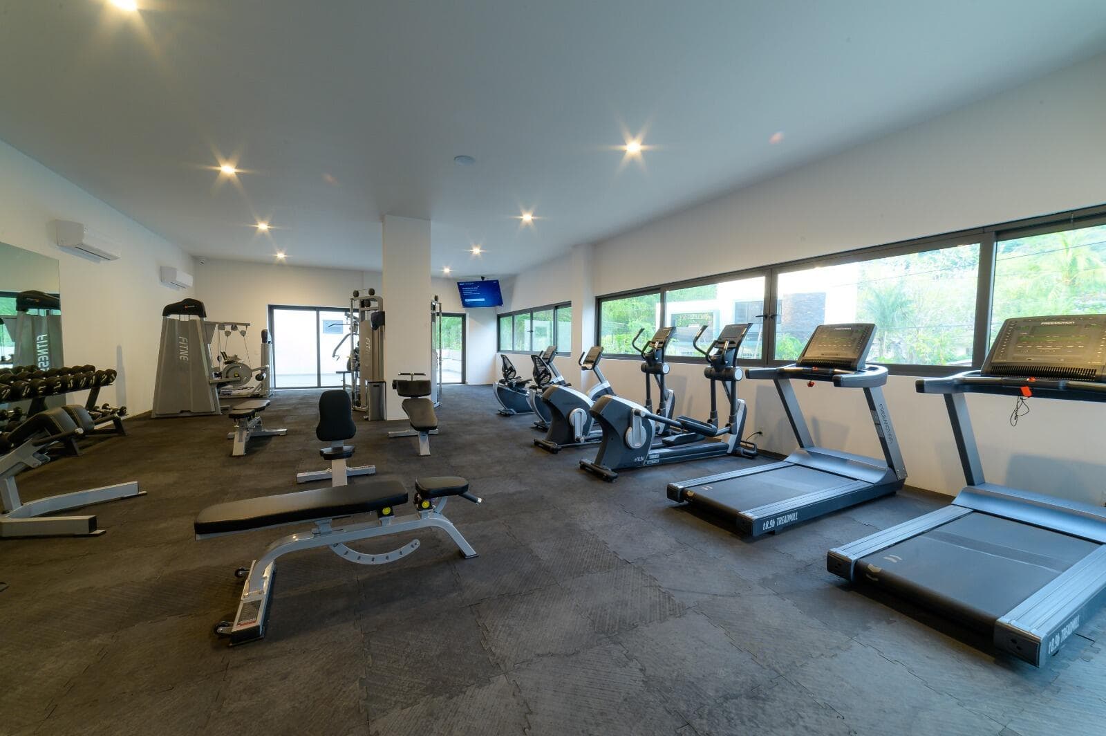 OASIS at Rivera Cuale 17